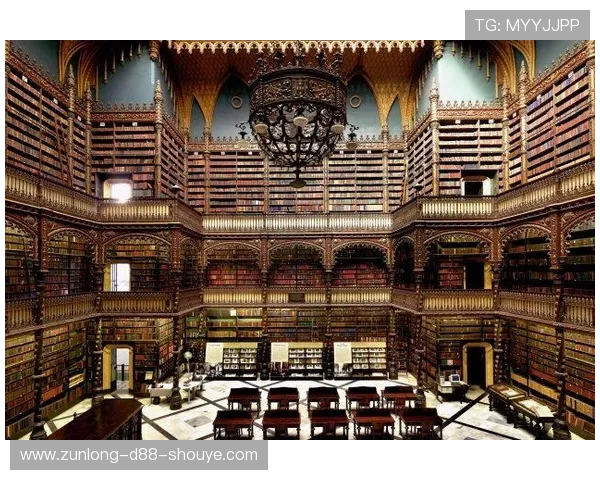 z6尊龙官方网站入口安全验证流程，确保每次登录都安全可靠