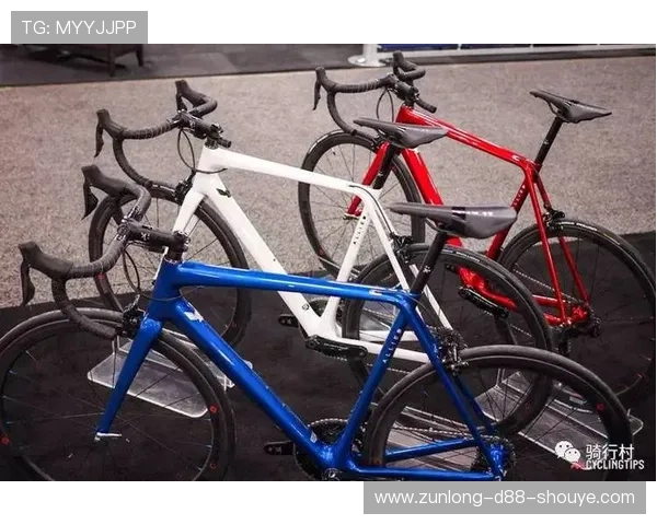 开云中文站：了解奢华品牌背后的故事与产品详情